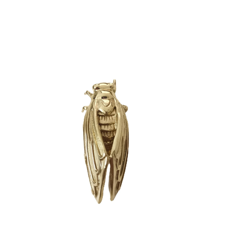 Brass Cicada Hardware Handle B - Unique Furniture Hardware ulasan dan harga