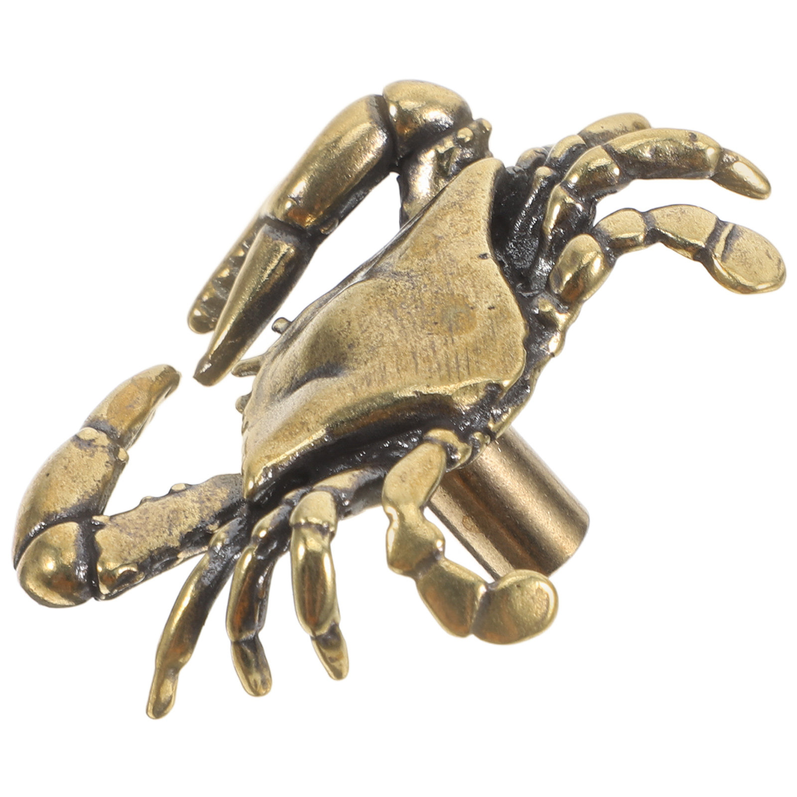 Brass Crab Cabinet Handle Naut - Unique Furniture Hardware ulasan dan harga